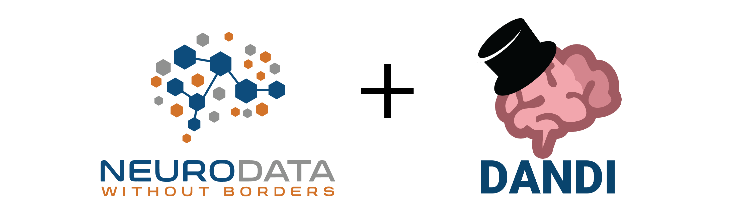 NWB and DANDI Workshop at INCF Assembly 2024